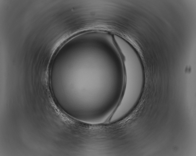 X0000088860944200706291515