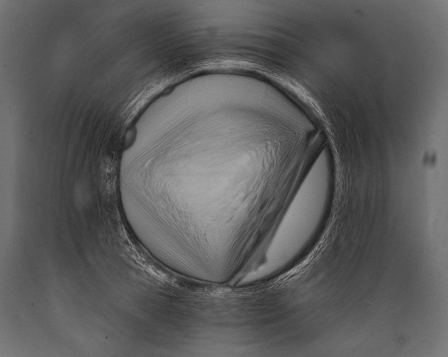 X0000088860945200706291515