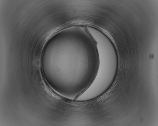 X0000088860946200706291515