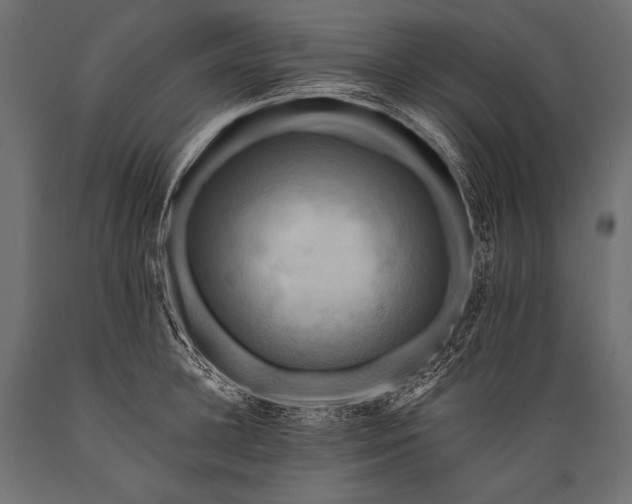 X0000088860948200706291515