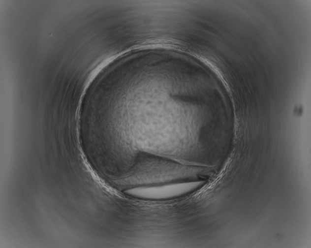 X0000088860949200706291515