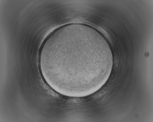 X0000088860950200706291515