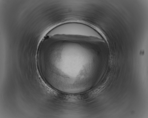 X0000088860951200706291515