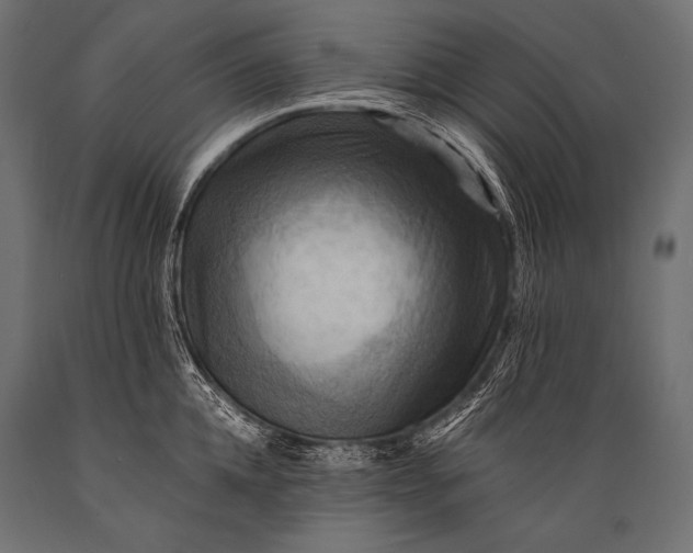 X0000088860952200706291515