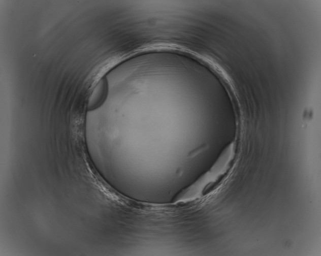 X0000088860953200706291515