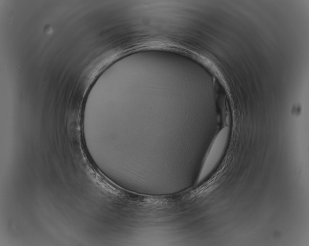 X0000088860954200706291515