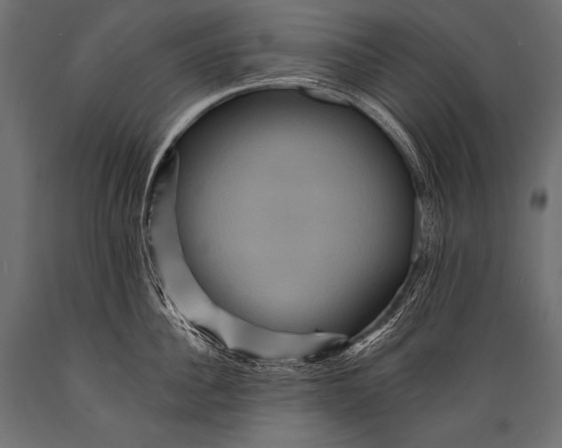 X0000088860956200706291515