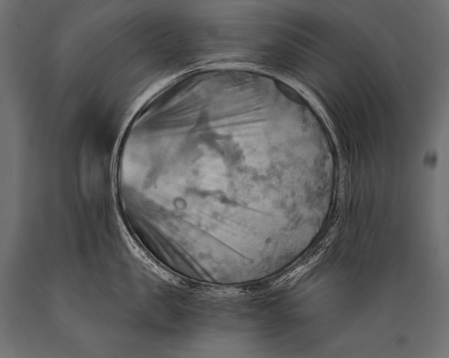 X0000088860957200706291515