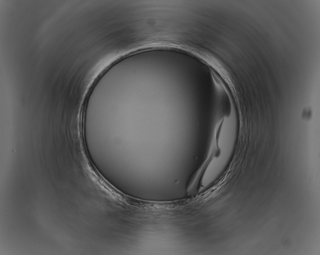 X0000088860958200706291515