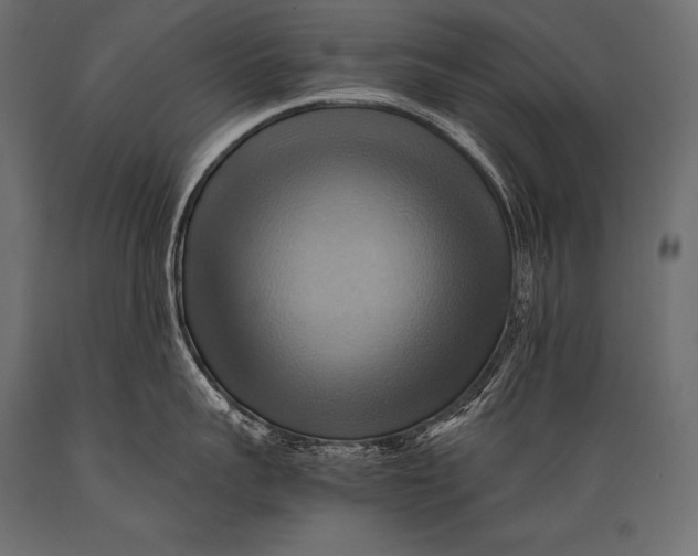 X0000088860959200706291515