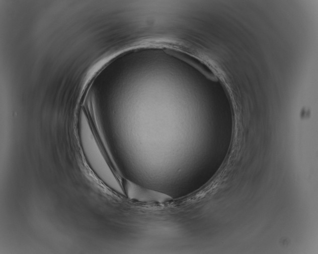 X0000088860960200706291515