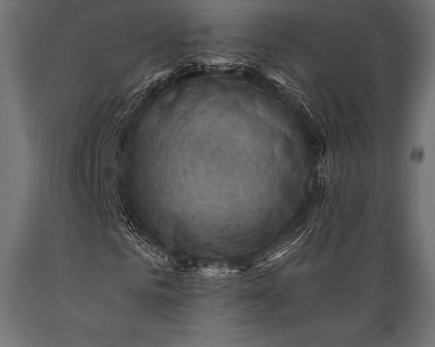 X0000088860961200706291514