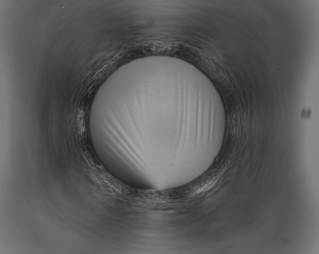 X0000088860962200706291514