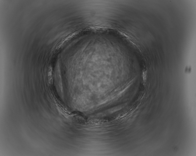 X0000088860963200706291514