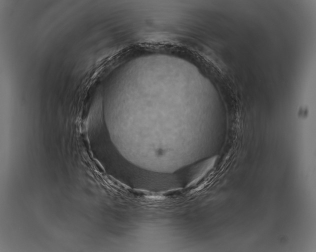 X0000088860965200706291514
