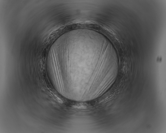 X0000088860966200706291514