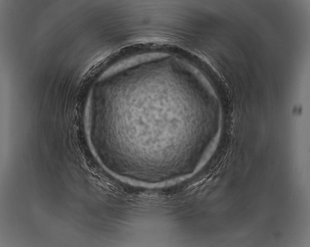 X0000088860967200706291514