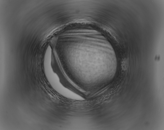 X0000088860968200706291514