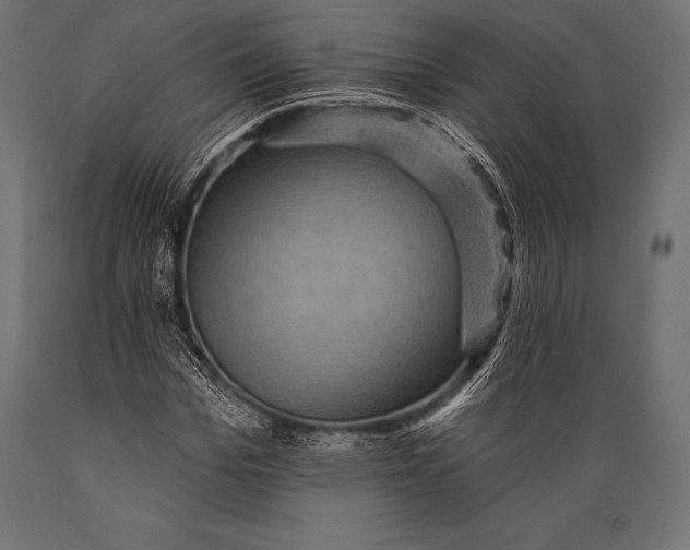X0000088860969200706291514