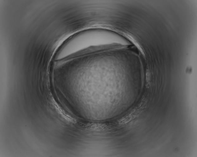 X0000088860972200706291514