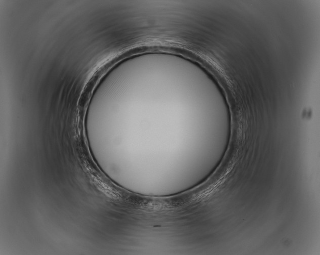 X0000088860974200706291514