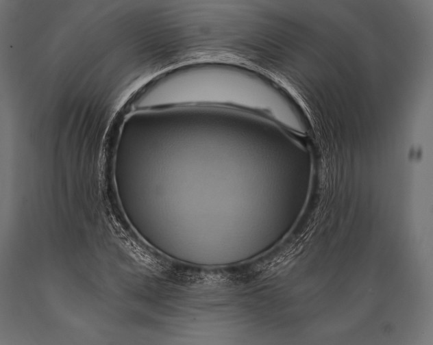 X0000088860975200706291514
