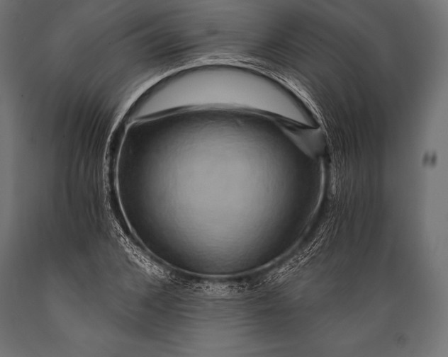 X0000088860976200706291514