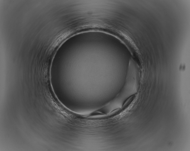 X0000088860977200706291514