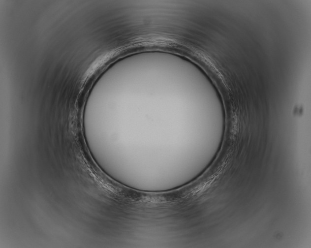 X0000088860978200706291514