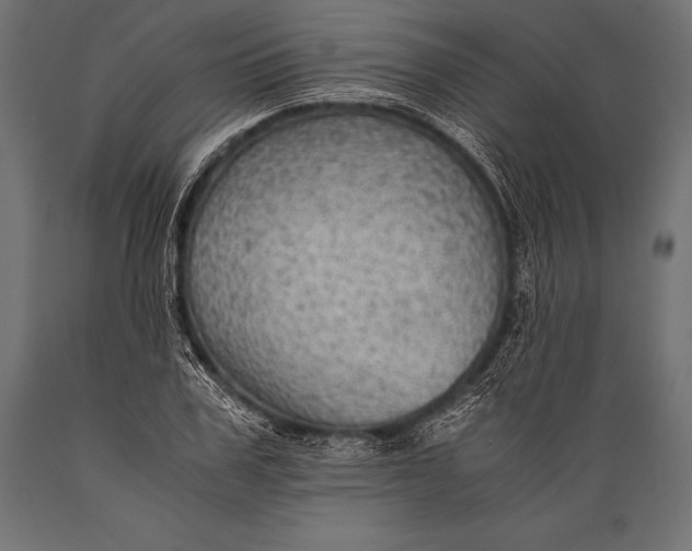 X0000088860979200706291514