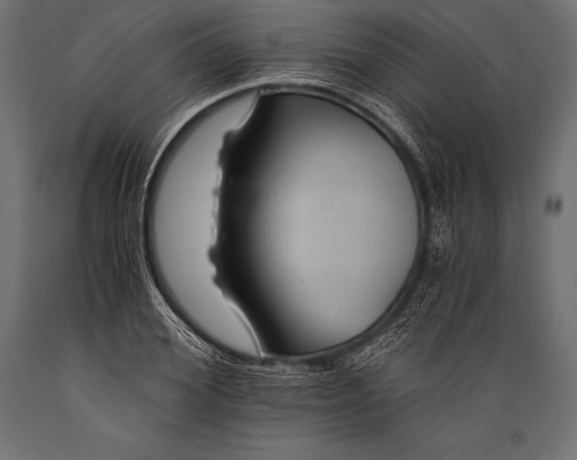X0000088860980200706291514