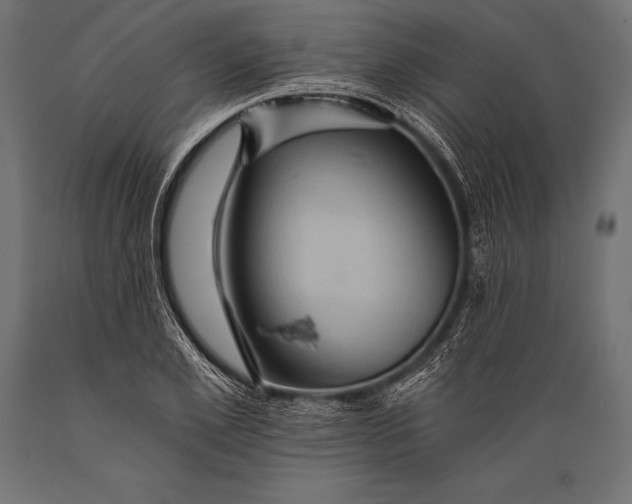 X0000088860981200706291514