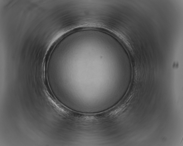 X0000088860982200706291514