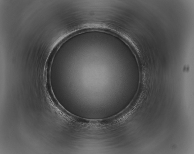 X0000088860983200706291514
