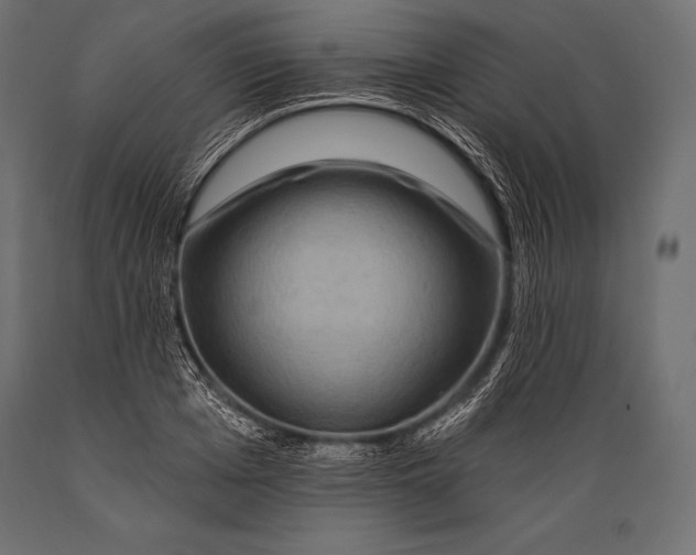 X0000088860985200706291514