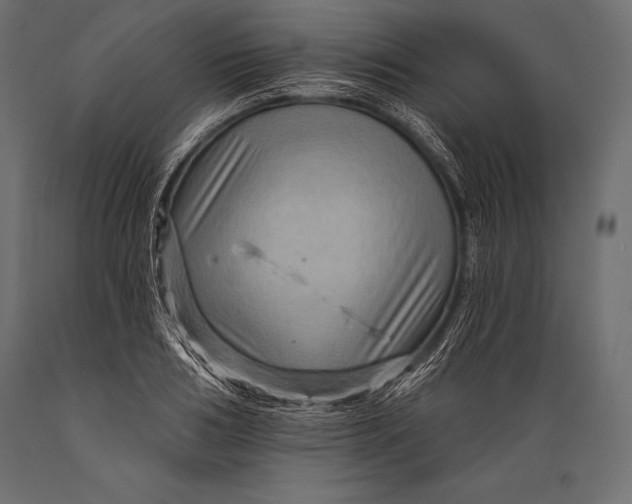 X0000088860986200706291514