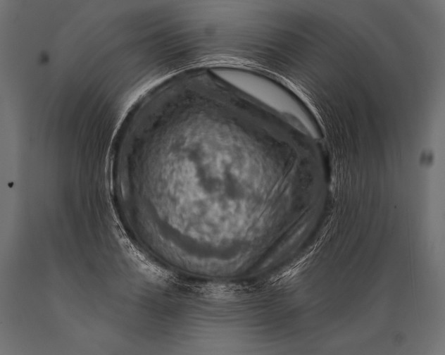 X0000088860987200706291514