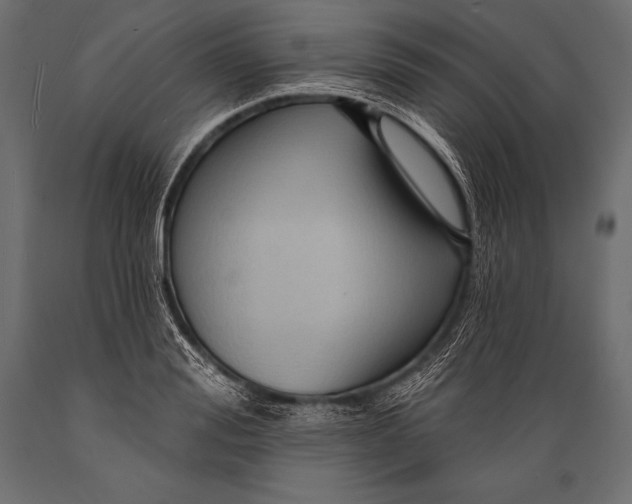 X0000088860988200706291514