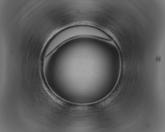 X0000088860989200706291514