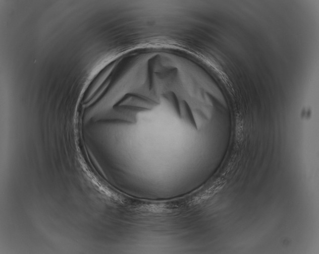 X0000088860990200706291514