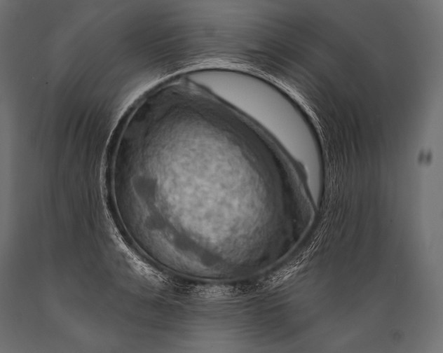 X0000088860991200706291514