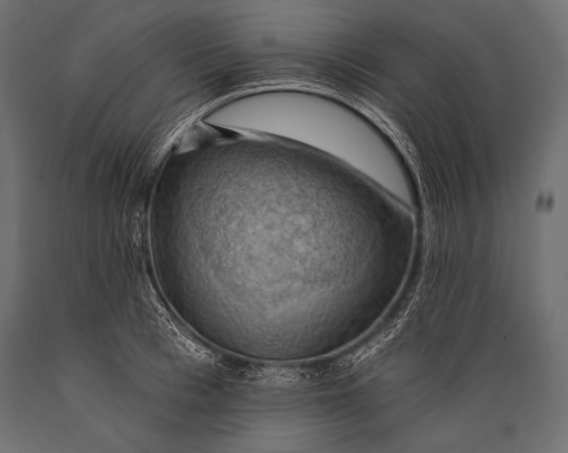 X0000088860993200706291514