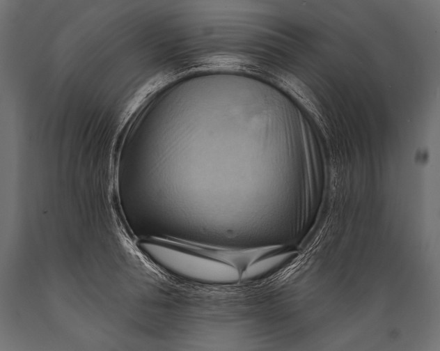 X0000088860994200706291514