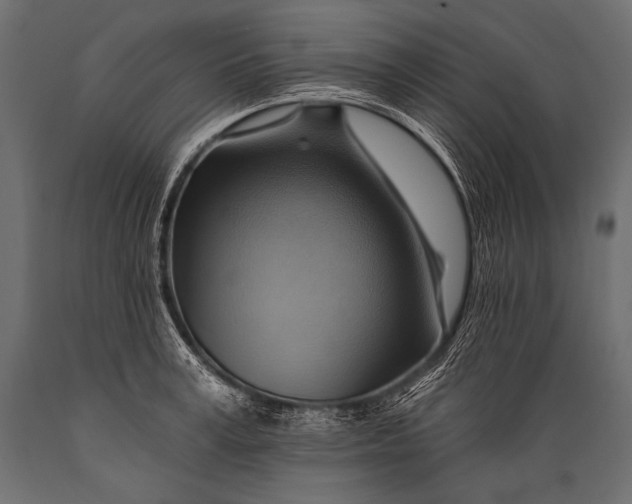 X0000088860995200706291513