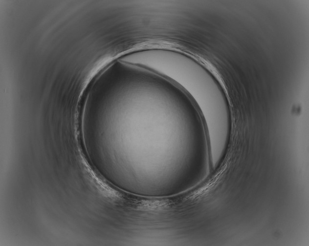 X0000088860997200706291513
