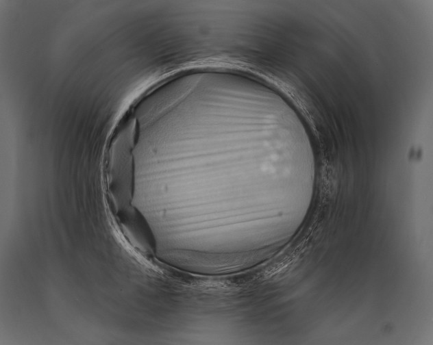 X0000088860998200706291513