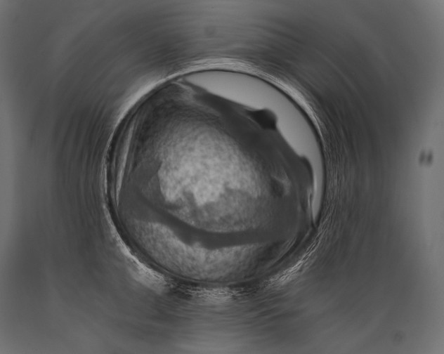 X0000088860999200706291513