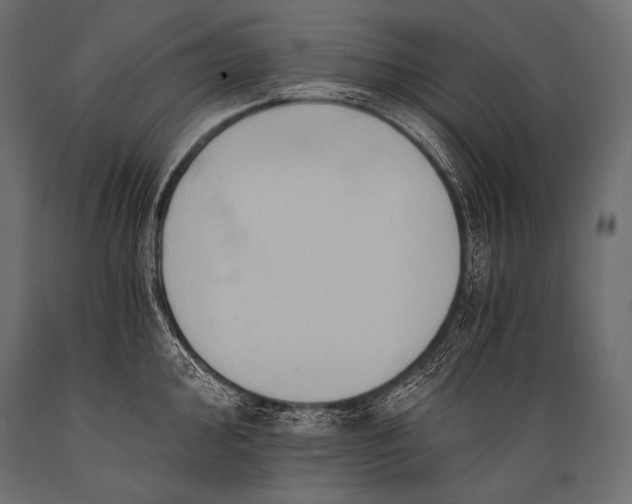 X0000088861000200706291513