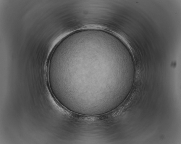 X0000088861003200706291513