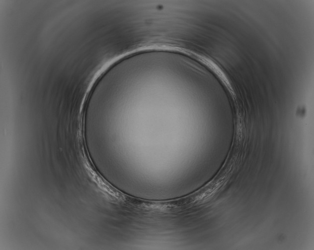 X0000088861004200706291513